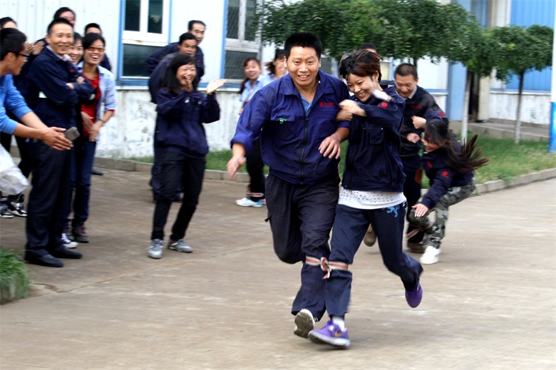 suncitygroup̫�����š�(�й�)��ҳ��¼