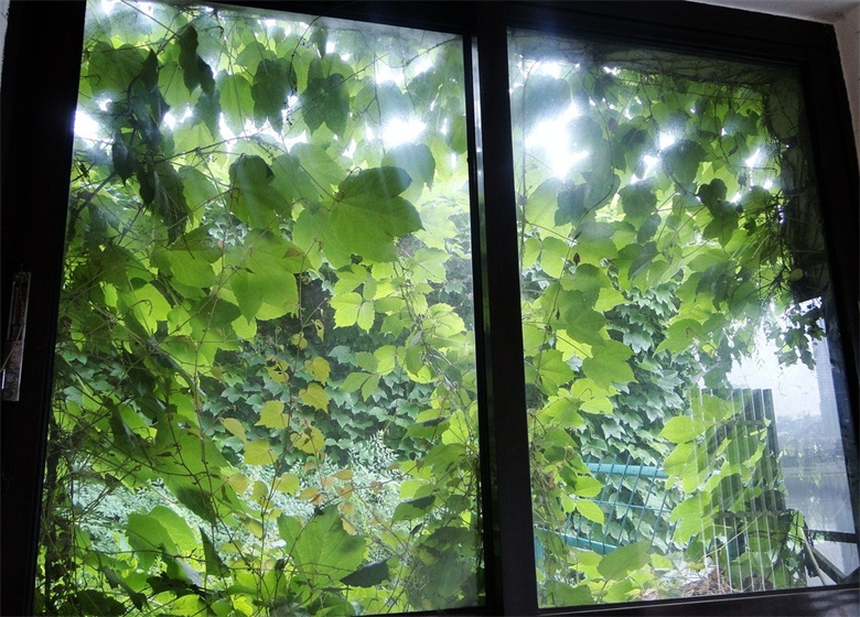 suncitygroup̫�����š�(�й�)��ҳ��¼