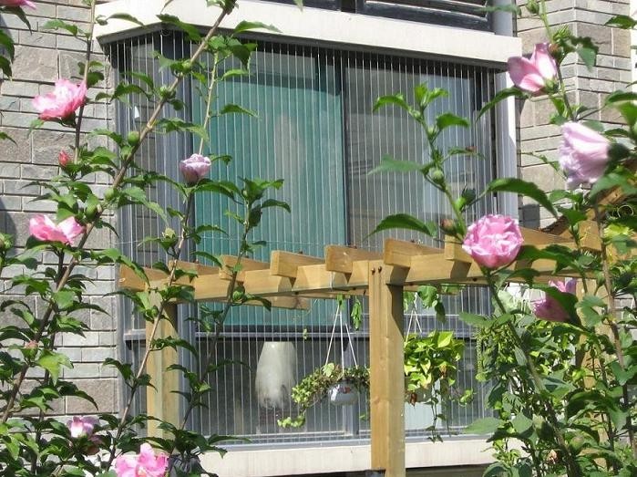 suncitygroup̫�����š�(�й�)��ҳ��¼