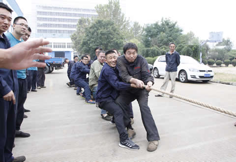 suncitygroup̫�����š�(�й�)��ҳ��¼