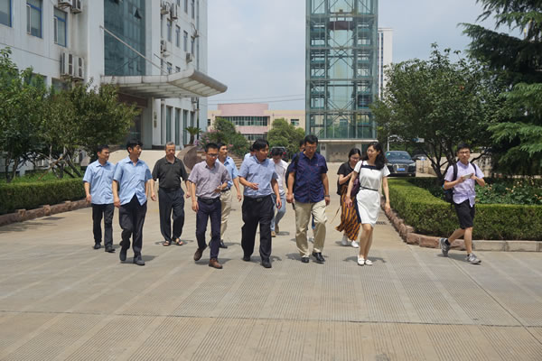 suncitygroup̫�����š�(�й�)��ҳ��¼